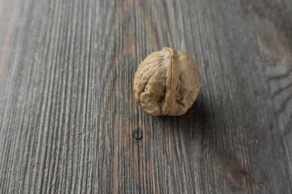 suszenie orzechów włoskich w piekarniku